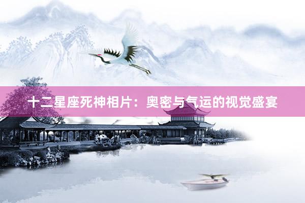 十二星座死神相片：奥密与气运的视觉盛宴