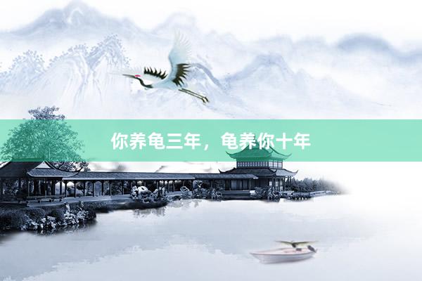 你养龟三年，龟养你十年
