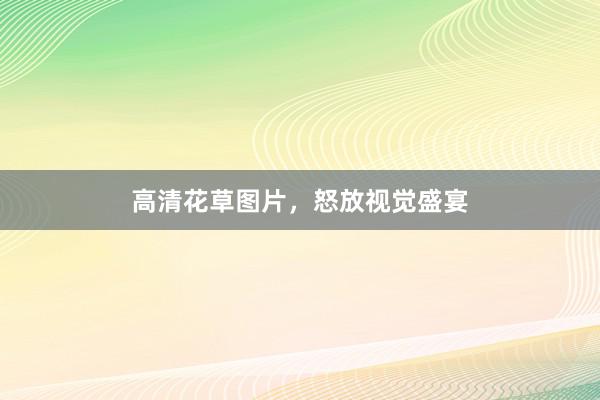 高清花草图片，怒放视觉盛宴
